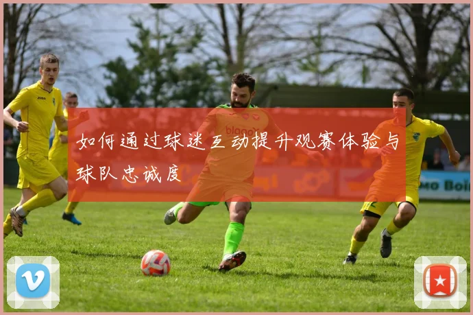 如何通过球迷互动提升观赛体验与球队忠诚度
