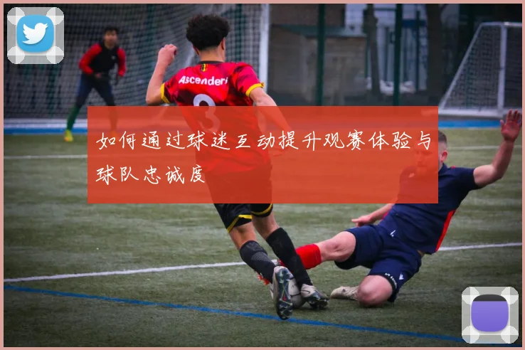 如何通过球迷互动提升观赛体验与球队忠诚度